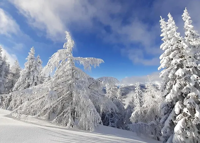 Verdino Apartment Bad Kleinkirchheim